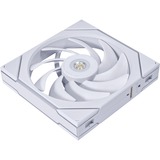 Lian Li UNI FAN TL140, Gehäuselüfter weiß, 144 mm