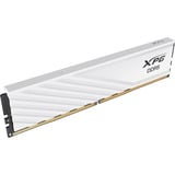 ADATA DIMM 32 GB DDR5-6000 (2x 16 GB) Dual-Kit, Arbeitsspeicher weiß, AX5U6000C3616G-DTLABWH, XPG Lancer Blade, INTEL XMP, AMD EXPO