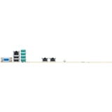 ASUS P13R-E/10G-2T, Mainboard 