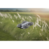 DJI Neo 2 Fly More Combo, Drohne grau, 12 Megapixel, 2-Achsen-Gimbal, inkl. 3 Akkus und Ladegerät