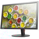 Lenovo THINKVISION T2454PA (ohne Standfuß) Generalüberholt, LED-Monitor 61 cm (24 Zoll), schwarz, WUXGA, IPS, USB-Hub