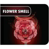 Revell Dream of Roses Holzblumen, Dekoration holz