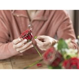 Revell Dream of Roses Holzblumen, Dekoration holz