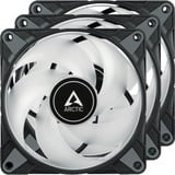 ARCTIC P12 PWM PST A-RGB 0dB 3er 120x120x25, Gehäuselüfter schwarz/transparent, 3er Pack, 120 mm