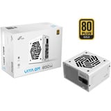 FSP VITA GM 850W WHITE, PC-Netzteil weiß, 850 Watt