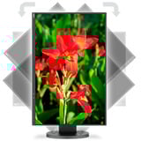 NEC Multisync EA245WMi Generalüberholt, LED-Monitor 61 cm (24 Zoll), schwarz, WUXGA, AH-IPS, HDMI, DVI, VGA, DisplayPort, USB-Hub