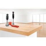 Bosch Home Stabmixer ErgoMixx MS6CB6110 schwarz/anthrazit, 1.000 Watt