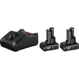 Bosch Professional PRO Starter-Set 12V (2x GBA 12V 6.0Ah + GAL 12V-40 Professional) schwarz, 2x Akku + Ladegerät