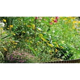 GARDENA Beeteinfassung, 20cm hoch, Begrenzung braun