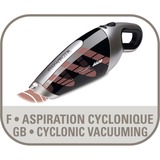 Rowenta Handstaubsauger AC 4769 Extenso Cyclonic schwarz/silber