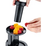 Severin Slow Juicer ES 3571, Entsafter silber, 150 Watt, Saftbehälter 1 Liter