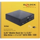 DeLOCK 5.25" Wechselrahmen für 1 x 5.25" Slim Laufwerk + 2 x 2.5" SATA HDD / SSD, Einbaurahmen schwarz