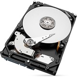 Seagate ST8000DM004 8 TB, Festplatte SATA 6 Gb/s, 3,5"