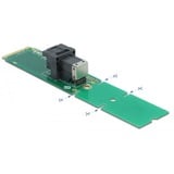 DeLOCK M.2 Key M zu SFF-8643 NVMe 22110 / 2280 / 2260, Schnittstellenkarte 