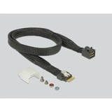 DeLOCK U.2 SFF-8654 oder SATA Konverter > 1x M.2, Adapter 