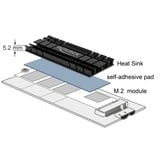 DeLOCK Kühlkörper flach 70 mm für M.2 Modul schwarz