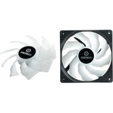 Enermax Liqmax III RGB 240 mm, Wasserkühlung schwarz