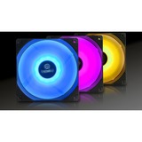 Enermax Liqmax III RGB 240 mm, Wasserkühlung schwarz
