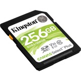 Kingston Canvas Select Plus 256 GB SDXC, Speicherkarte schwarz, UHS-I U3, Class 10, V30