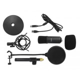 DeLOCK Professionelles USB Kondensator Mikrofon schwarz, Set für Podcasting und Gaming