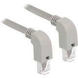 DeLOCK Patchkabel RJ45 Cat.6a S/FTP grau, 1 Meter, gewinkelte Stecker 2x unten