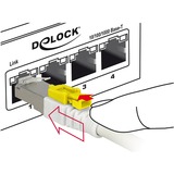 DeLOCK RJ45 Secure Cat. 6A, Kabel weiß, 1 Meter, verriegelbar, LSOH Halogenfrei