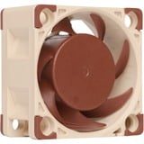 Noctua NF-A4x20 PWM, Gehäuselüfter 