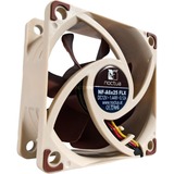 Noctua NF-A6x25 FLX, Gehäuselüfter braun/weiß