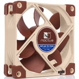 Noctua NF-A8 5V PWM, Gehäuselüfter 80 mm