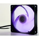 Scythe Kaze Flex RGB 1200 120x120x27, Gehäuselüfter 