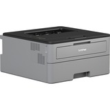 Brother HL-L2310D, Laserdrucker grau/schwarz, USB