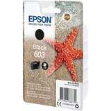 Epson Tinte schwarz 603 (C13T03U14010) 
