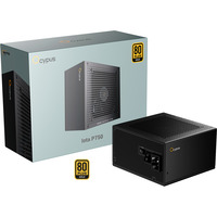 Ocypus Iota P750 Black, PC-Netzteil schwarz, 1x 12-Pin High Power GPU, 3x PCIe, Kabelmanagement, 750 Watt