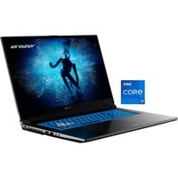 Medion ERAZER Defender P50i (30038543) , Gaming-Notebook schwarz, Intel® Core™ i7-13620H, NVIDIA GeForce RTX 4060, 16 GB DDR4, 1 TB (1 TB SSD), Windows 11 Home 64-Bit