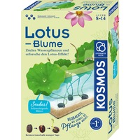 KOSMOS Lotus-Blume, Experimentierkasten