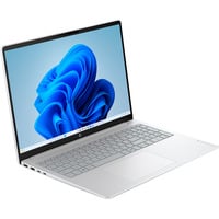 HP OmniBook 3 16-bu0057ngx, Notebook silber, Intel® Core™ Ultra 5 225U, 16 GB LPDDR5X, 512 GB (512 GB SSD), Windows 11 Home