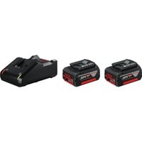 Bosch PRO Starter-Set 18V (2x GBA 18V 4,0Ah + GAL 18V-40 Professional), Ladegerät schwarz, 2x Akku + Ladegerät, AMPShare Alliance