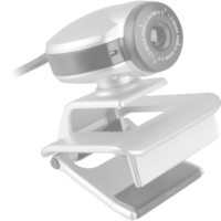 Logitech BRIO 105, Webcam graphit, 1080p