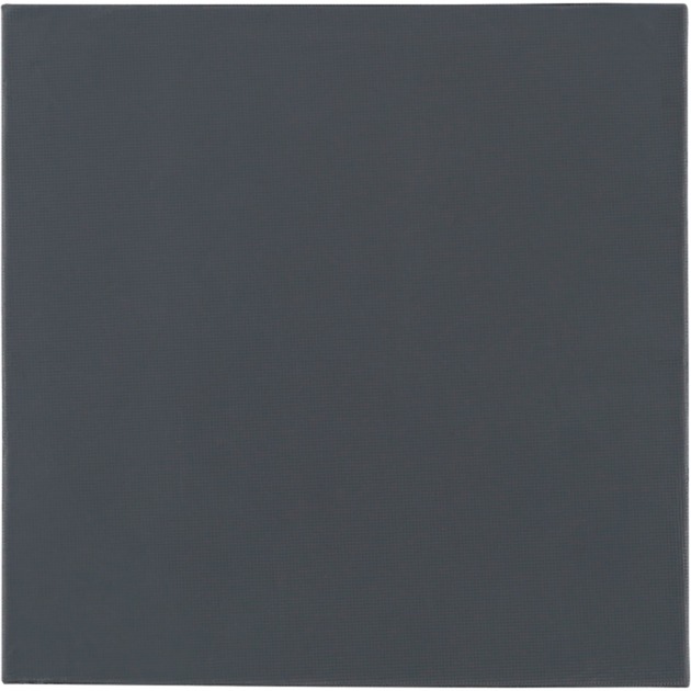 Thermal Grizzly Minus Pad Pro - 100x100x2,0 mm, Wärmeleitpads