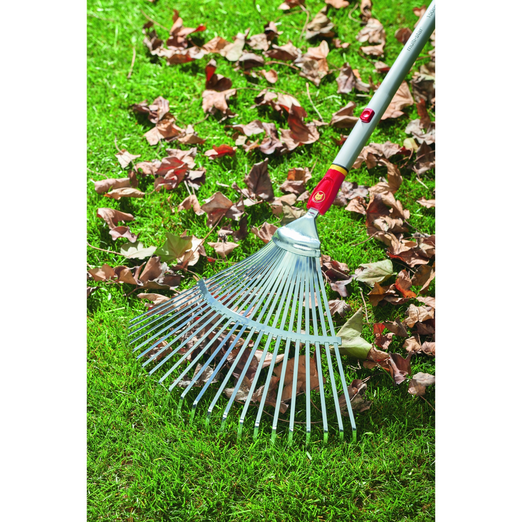 WOLF-Garten Fächerbesen UE-M, multi-star, Rechen rot/gelb, 50cm